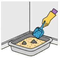 Услуга: Чистка лотка для животных Бельцы