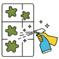 Услуга: Обработка от плесени Бельцы